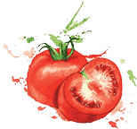 在线短信轰炸机